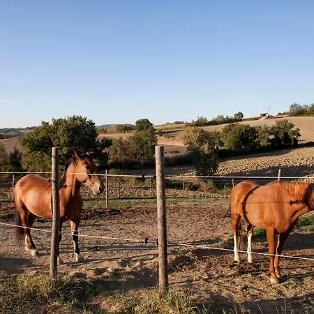 Casale Talevi * Cartoceto