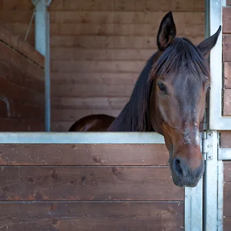 Κατάλυμα σε φάρμα Casale Talevi Cartoceto
