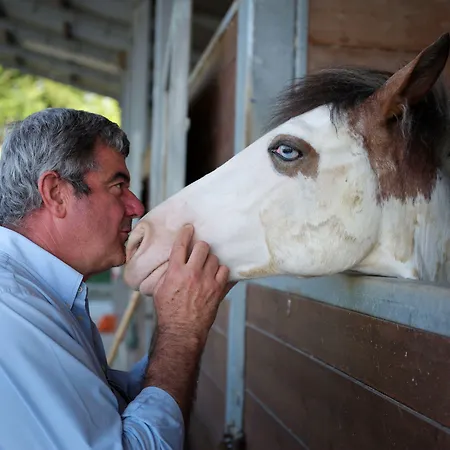 Casale Talevi Cartoceto