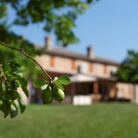 Casale Talevi Cartoceto