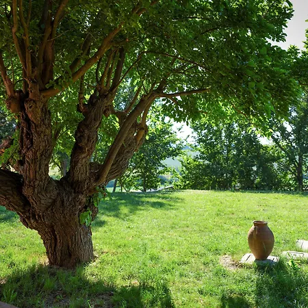 Casale Talevi Κατάλυμα σε φάρμα