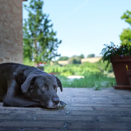 Casale Talevi Κατάλυμα σε φάρμα *