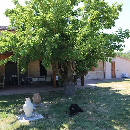 Casale Talevi Cartoceto