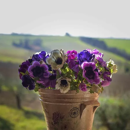 Farm stay Casale Talevi *